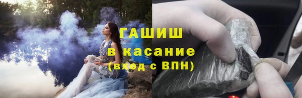 хмурый Верея