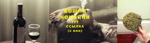 индика Снежинск