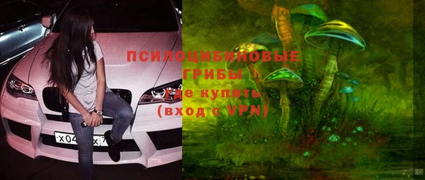 дживик Гусь-Хрустальный