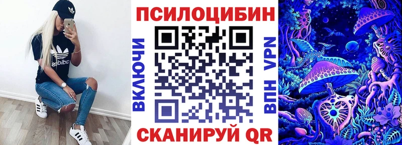 магазин Дмитров Галлюциногенные грибы MAGIC MUSHROOMS