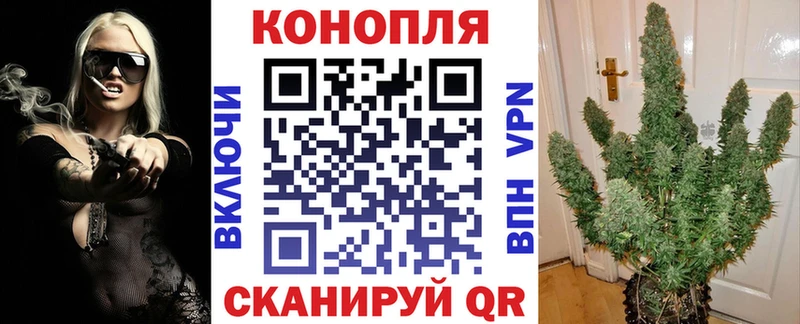 где продают   OMG ссылка  Бошки марихуана Amnesia  Дмитров 